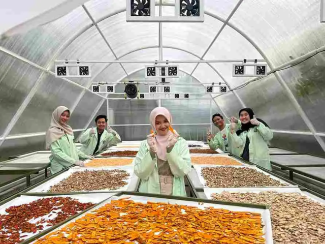 Pengeringan Hasil Panen Lebih Cepat dan Higienis di Kebun Dakwah Muhammadiyah, Nitikan